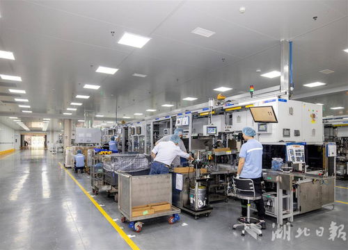 世界500強采埃孚五年三度追投，武漢成其軟件戰略布局核心